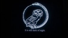 An image from Millennium: Owls.