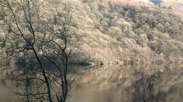 A view of Lake Thirlmere (11)