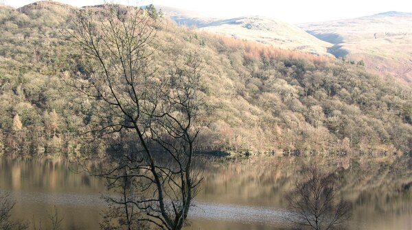 A view of Lake Thirlmere (6)