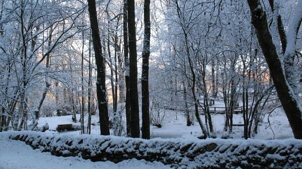 Winter Wonderland (2)
