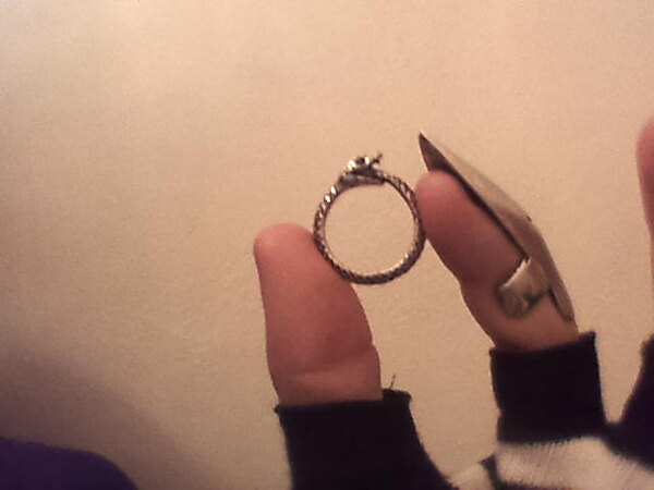 Ouroborus Ring